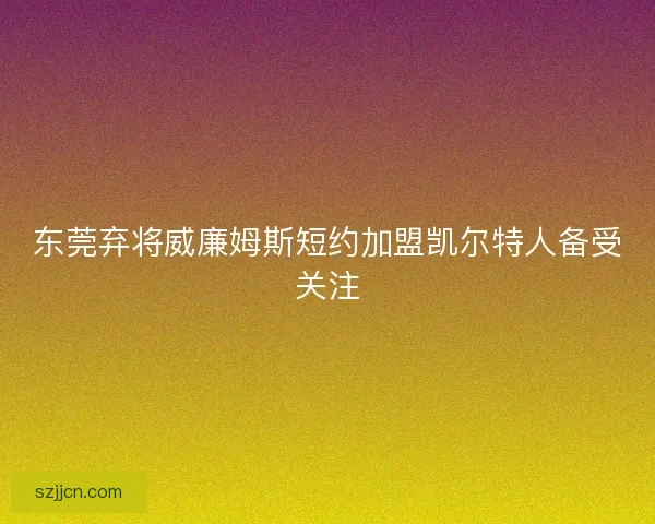 东莞弃将威廉姆斯短约加盟凯尔特人备受关注